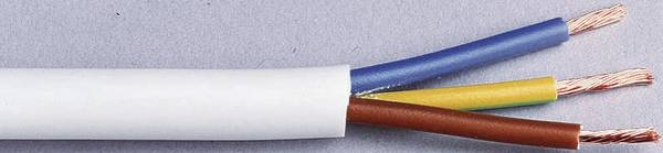 LAPP 1601204/10 Geïsoleerde kabel H03VV-F 3 x 0.75 mm² Zwart 10 m