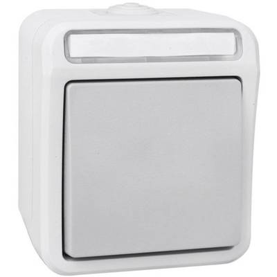 Een witte wandschakelaar met een grijze toets, geschikt voor gebruik binnenshuis, toont een strak en functioneel ontwerp.