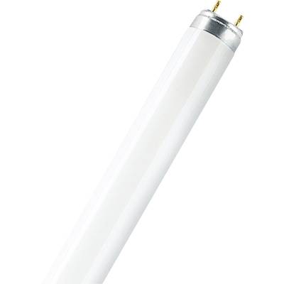 Een witte TL-buis met zilveren uiteinden en twee metalen contactpunten is schuin in beeld geplaatst.