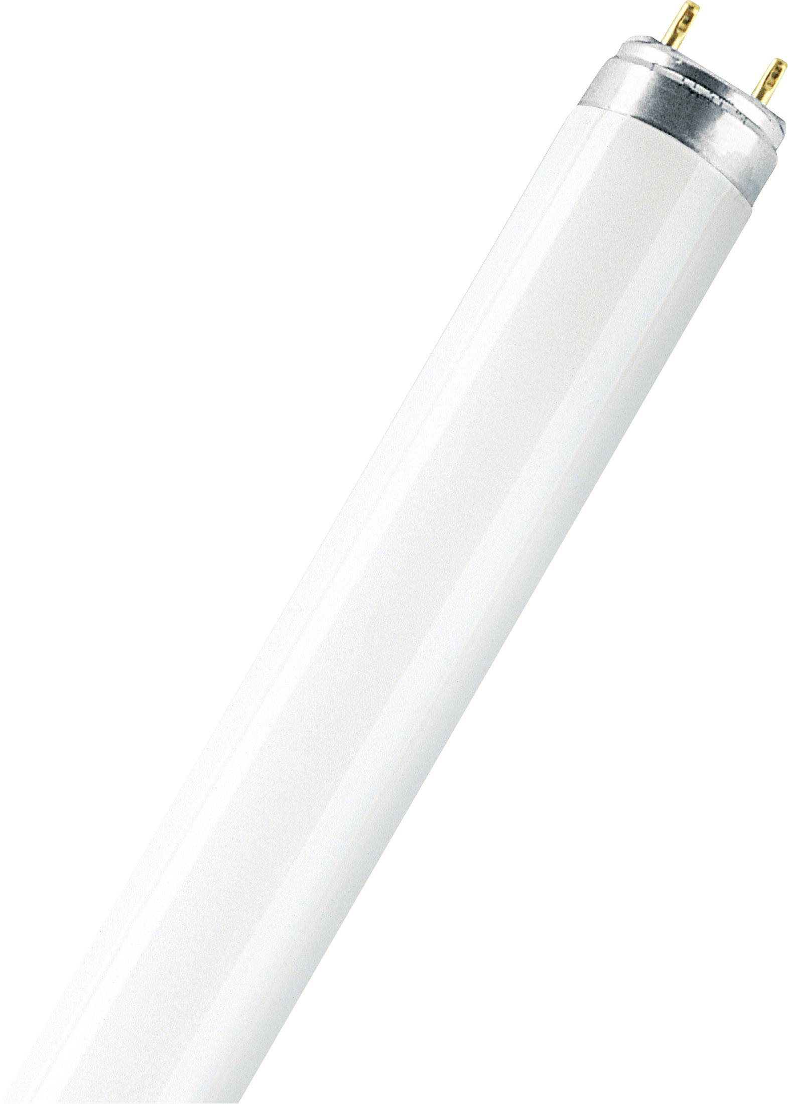 Een witte tl-buis met zilveren uiteinde en twee zichtbare aansluitpennen.