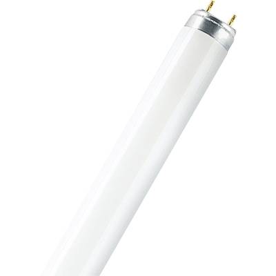 Een witte tl-buis met zilveren uiteinde en twee zichtbare aansluitpennen.