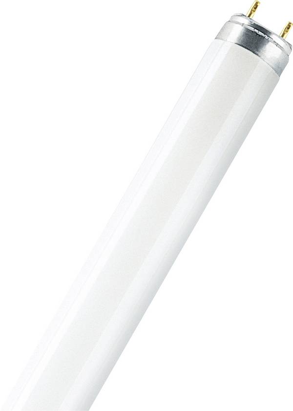 OSRAM HOMELIGHTING TL-lamp Energielabel: G (A - G) G13 18 W Warmwit Buis (Ø x l) 26 mm x 604 mm 1 stuk(s)