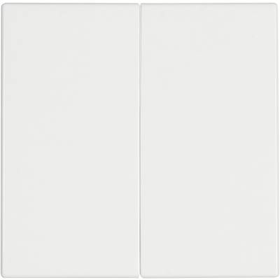 Twee witte lichtschakelaars naast elkaar op een witte muur, onaangeraakt.