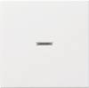 GIRA 029003 Controleschakelaar Afdekking System 55, Standaard 55, E2, Event, Event Clear, Event Opaque, Esprit, ClassiX Zuiver wit glanzend 1 stuk(s)