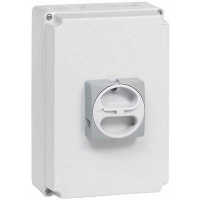 Witte elektrische wandcontactdoos van kunststof met afgeronde hoeken en een centrale, stervormige bevestiging.