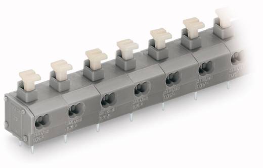Spring terminal block