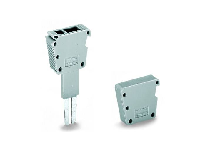 Een tweepolige connector in lichtgrijs, met een rechthoekige behuizing en metalen pinnen. Ernaast een passende afdekking.