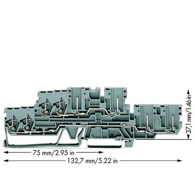 WAGO 870-131 Basisklem 5 mm Spanveer Toewijzing: L, L Grijs 40 stuk(s) 