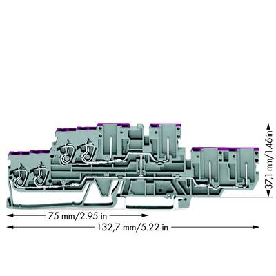 WAGO 870-138 Doorgangsklem 2-etages 5 mm Spanveer Toewijzing: L Grijs 40 stuk(s) 