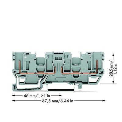 WAGO 769-161 Basisklem 5 mm Spanveer Toewijzing: L Grijs 50 stuk(s) 