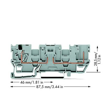 WAGO 769-181 Basisklem 5 mm Spanveer Toewijzing: L Grijs 50 stuk(s) 