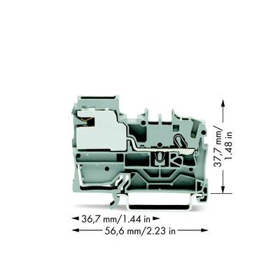 WAGO 2002-7111 Potentiaalklem 5.20 mm Spanveer  Grijs 50 stuk(s) 