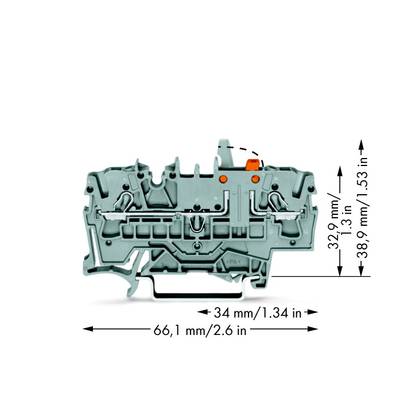WAGO 2002-1671/401-000 Scheidingsklem 5.20 mm Spanveer  Grijs 50 stuk(s) 