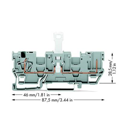 WAGO 769-212 Basisklem 5 mm Spanveer Toewijzing: L Grijs 50 stuk(s) 
