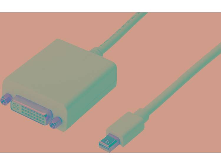 Digitus DisplayPort-DVI Adapter [1x Mini-DisplayPort stekker => 1x DVI-bus 24+5-polig] Wit