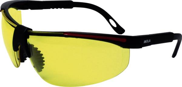 protectionworld  2012008 Veiligheidsbril Incl. UV-bescherming Zwart, Rood EN 166-1 DIN 166-1