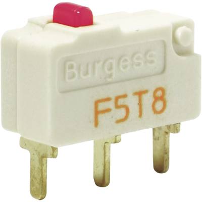 Burgess F5T8UL Microschakelaar F5T8UL 250 V/AC 5 A 1x aan/(aan) IP40 Moment 1 stuk(s) 