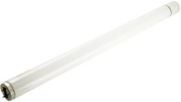 Mo-el 802 UVA 802 UV-buis Geschikt voor merk Mo-el CriCri 308A, CriCri 308E  1 stuk(s)