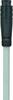 Escha 8052496 Sensor/actuator connector, geassembleerd M8 Aantal polen (sensoren): 3 Stekker, recht 2.00 m 1 stuk(s)