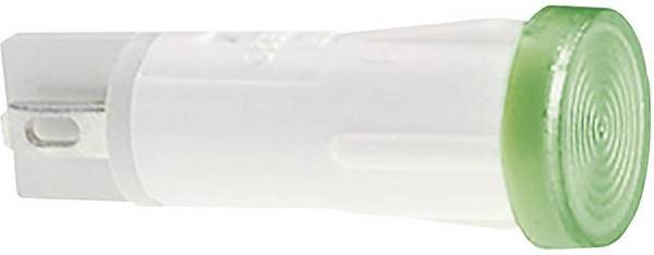 RAFI 1.69.525.221/1000 Standaard signaallamp met lamp     Helder 1 stuk(s)
