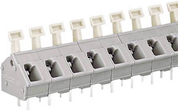 WAGO 256-502 Veerkrachtklemblok 2.50 mm² Aantal polen 2 Grijs 1 stuk(s)