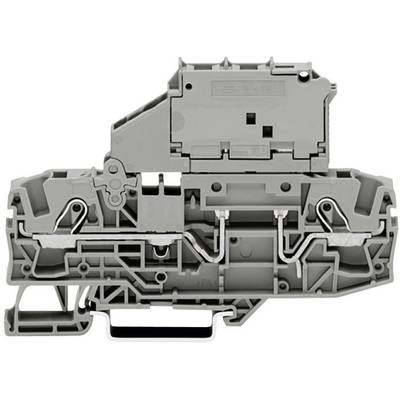 WAGO 2006-1631 Zekeringklem 7.50 mm Spanveer Toewijzing: L Grijs 1 stuk(s) 