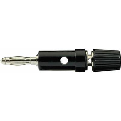 TRU COMPONENTS TC-R1-30 B, 10A Pluimstekker Adapter, recht Stift-Ø: 4 mm Zwart 1 stuk(s) 