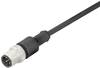 binder 79-3429-32-04 Sensor/actuator connector, geassembleerd M12 Aantal polen (sensoren): 3 Stekker, recht 2.00 m 20 stuk(s)