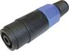 Cliff FM1255 Luidsprekerconnector Bus, recht Aantal polen: 4 Zwart, Blauw 1 stuk(s)