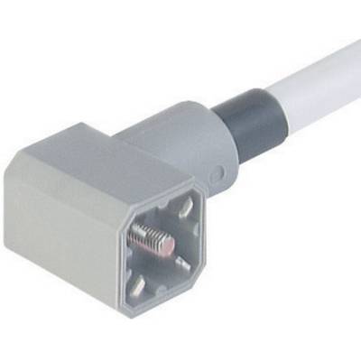 De afbeelding toont een grijze rechthoekige stekker met meerdere metalen pinnen, die is bevestigd aan een kabel.