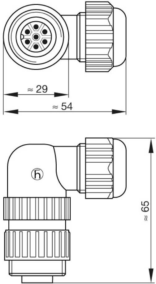 Stekkerverbinding-ontwerp met afmetingen: breedte ≈ 29 mm, totale lengte ≈ 54 mm, hoogte 65 mm. Toont aansluitdetails en vorm.