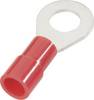 Cimco 180020 Ringkabelschoen Dwarsdoorsnede (max.): 1 mm² Schachtdiameter: 3.2 mm Deels geïsoleerd Rood 1 stuk(s)
