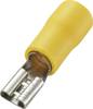 TRU COMPONENTS 1572191 Platte stekker (female) Insteekbreedte: 4.8 mm Insteekdikte: 0.5 mm 180 ° Deels geïsoleerd Geel 50 stuk(s)