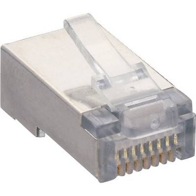 Een RJ45-stekker met transparante kunststof behuizing en goudkleurige contactpinnen voor Ethernet-netwerkverbindingen.