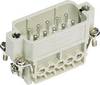 HARTING 09200102612 Pin-inzetstuk Han® A 10 + PE Schroeven 10 stuk(s)