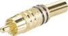 BKL Electronic 0101006 Cinch-connector Stekker, recht Aantal polen: 2 Zwart 1 stuk(s)