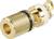 Gouden coaxconnector met gekartelde oppervlakte en zwarte isolator. Geschikt voor audio-/videoverBindingen.