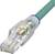Een groen Ethernet-kabel met een transparante RJ-45-stekker, waarbij meerkleurige draden zichtbaar zijn, op een witte achtergrond.