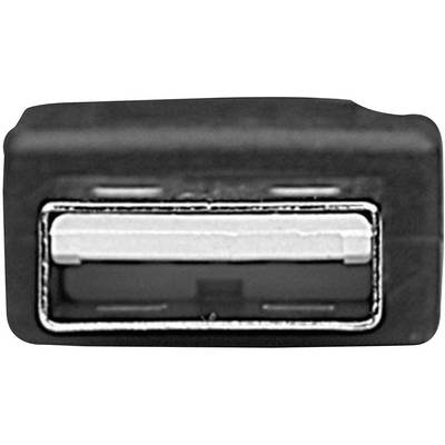Close-up van een USB-aansluiting, een typische rechthoekige poort die vaak wordt gebruikt voor het aansluiten van apparaten zoals printers of muizen.