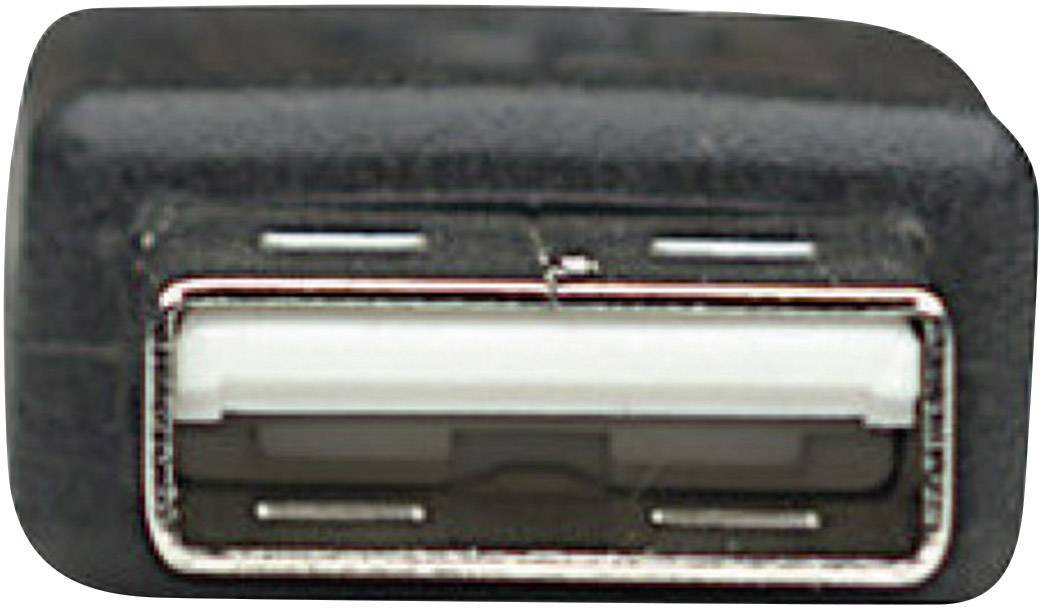 Close-upfoto van een USB-aansluiting, rechthoekig met een witte kunststof strip in het midden, gebruikt voor het verbinden van apparaten.