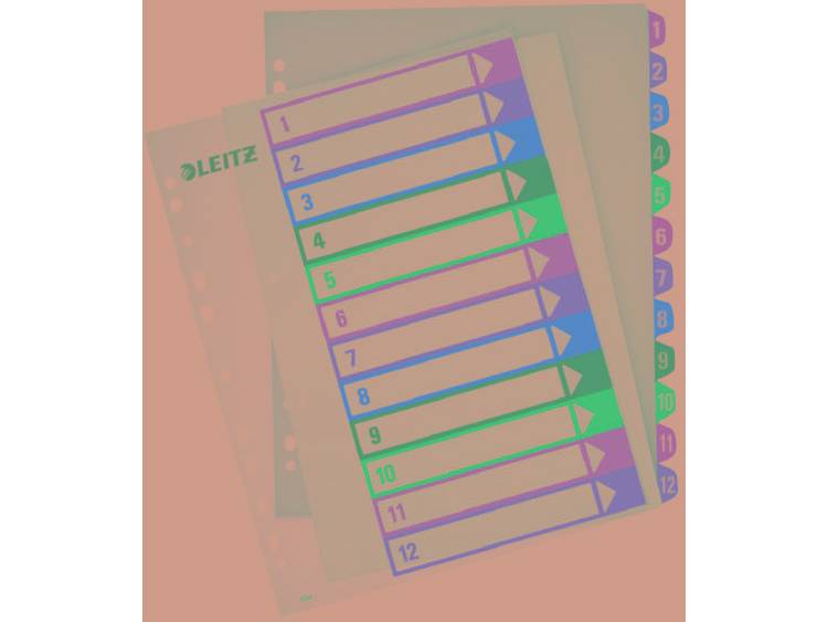 Leitz Tabbladen Numeriek A4+ Kleurenassortiment 12 tabs 11-gaats Polypropyleen 1 tot 12