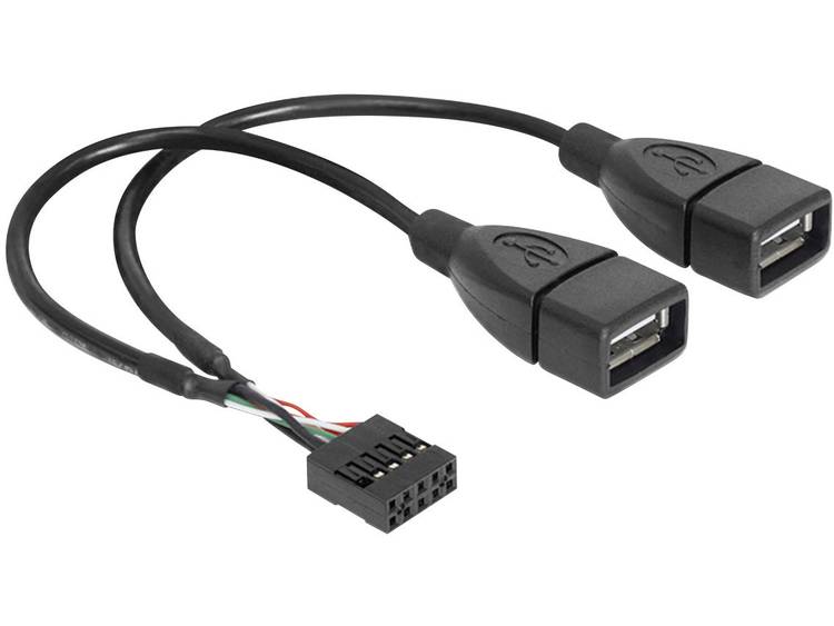 Delock USB 2.0 Y-kabel [1x USB 2.0 bus intern 4-polig 2x USB 2.0 bus A] 0.20 m Zwart UL gecertificee