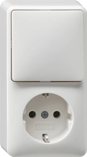 Combinatie wisselschakelaar + WCD RA opbouw zuiver wit-0