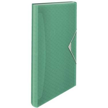 Esselte 4049793053073  Esselte -  Projectmap Col Ice Pp Groen