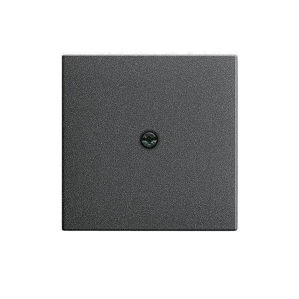 Gira Zentralpl.Schnurabl. anth 027428-0