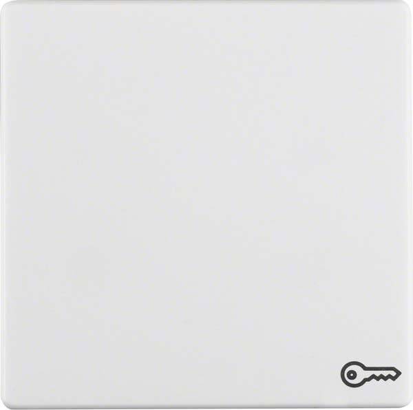 Berker Wippe 16206069-0
