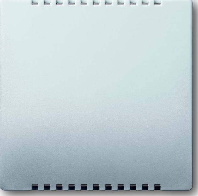 Busch-Jaeger Zentralscheibe eds 6541-866-0