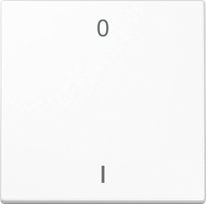 Jung Funk-Wandsender aws ENO LS 990-01 WW-0