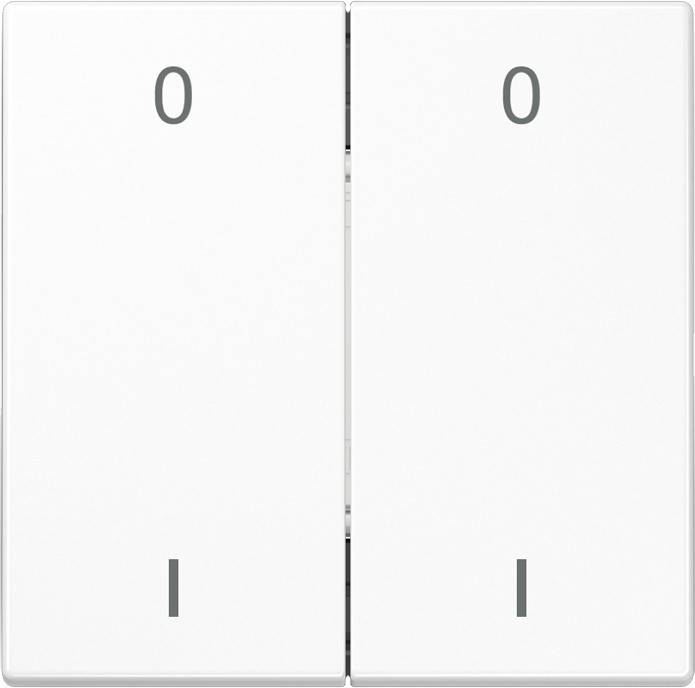 Jung Funk-Wandsender aws ENO LS 995-01 WW-0