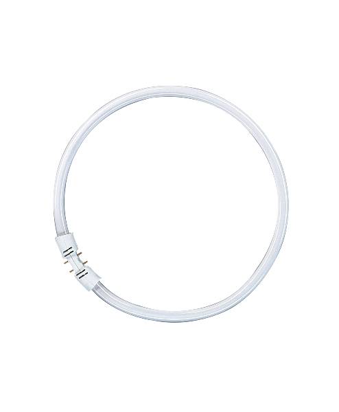 OSRAM FC22827 OSR CIRKELV.LAMP T5 22W/827